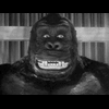dytkingkong