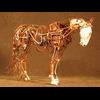 copperhorse99