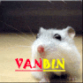 Vanbin