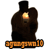 agungswn10