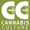 CannabisCulture