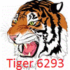 tiger6293