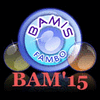 bamis84