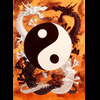 YinYang77