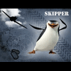 skipper001