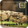 oyoenk24