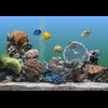 aquariumkhrisna