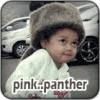 pink..panther