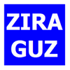 ziraguz.com