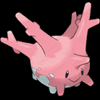 corsola