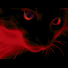 red.cat