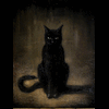 black.cat24