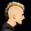 spikemohawk