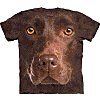 kaos.3d
