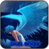.blue.angel.