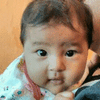 auliahasby