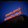 snaudio2014