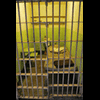 alcatrazprison