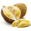 lempok.durian