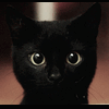 .blackcat.