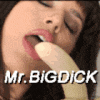 mr.bigdick