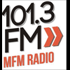 mfm1013