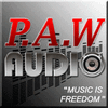 paw.audio