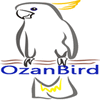 ozanbird