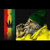 reggae16