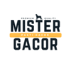 mistergacor