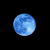 blue.moon88