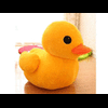 yellowduck08