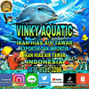 vinkyaquatic