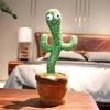 kaktustar
