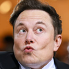 mas.elon