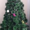 Pohon natal / Christmas tree dijual