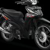 Revo Fit NEW