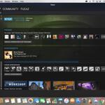 id-steam-level-43