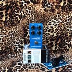 tc-electronic-flashback-delay-and-looper-pedal
