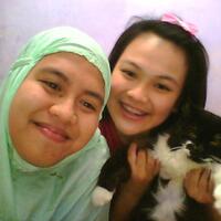 hobby-bogor-cat-lover039s