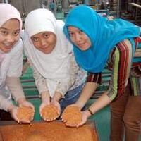 beras-analog---buatan-mahasiswa-gan