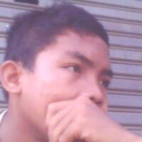 29721769175817692972bengkel-avatar-blue-tiger29721769175817692972