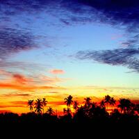 17691757photography17571769-galleries-tips-sharing--information