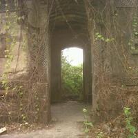 post-image