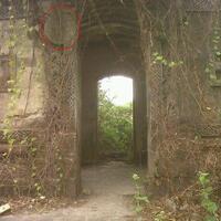post-image