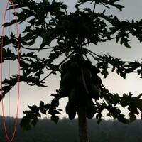 official-lounge-jena-samsung-galaxy-mini-2-s6500-6500d