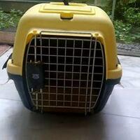 thread-khusus-burung-hantu-owl-kaskus---part-4