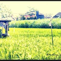 nongkrong-bareng-yang-masih-amatiran-dan-newbie---part-4