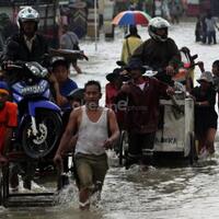 water-way-jakarta--kerja-foke-selama-ini--photo