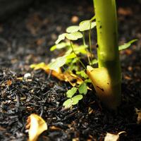 nongkrong-bareng-kritik-jujur-dan-brutal